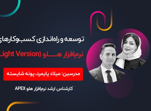 توسعه و راه اندازی کسب و کارهای نوپا